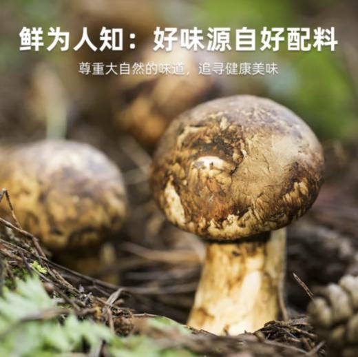 自营-松茸蔬食调味料、菌菇粉、蘑菇粉 180g/袋 商品图3