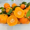金秋砂糖橘·2斤装 商品缩略图3