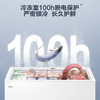 海尔（Haier）冰柜 BC/BD-300GHD 商品缩略图11