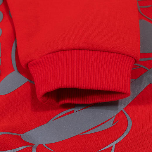 【商场同款】秋冬新款长男童袖圆领卫衣中大童上衣学生服213DS0387 商品图9