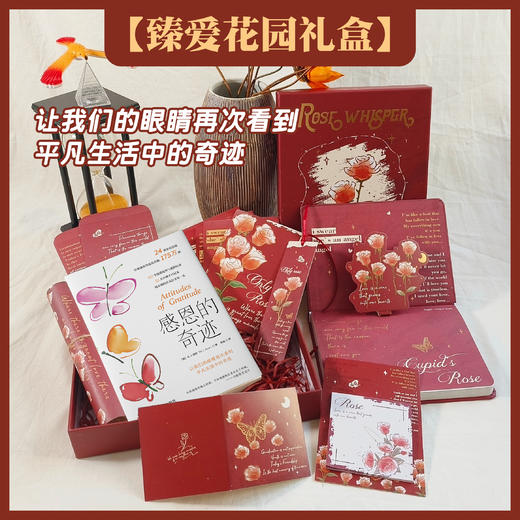 臻爱花园礼盒  用书写找到爱的内心花园 商品图5