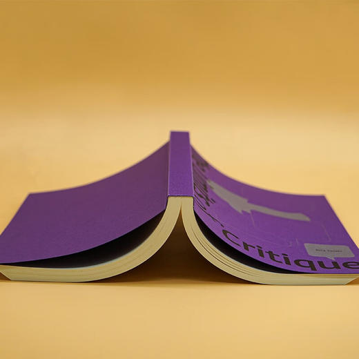 批判的限度 商品图6