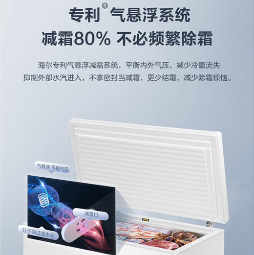 海尔（Haier）冰柜 BC/BD-300GHD 商品图1