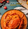 新加坡风味辣螃蟹料理酱150g  |厨房大佬 商品缩略图2