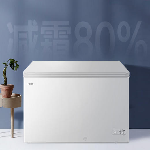 海尔（Haier）冰柜 BC/BD-300GHD 商品图0