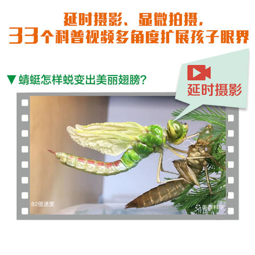 人类是怎样飞上天的？ 商品图6