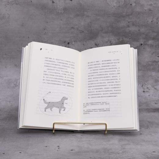 【包邮】亲历宇宙史：21颗著名恒星为你讲述宇宙历史 商品图7