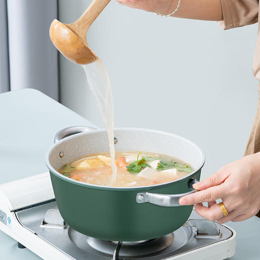 凡尔纳(汤锅) DEP-838 3.5L 德铂 商品图4