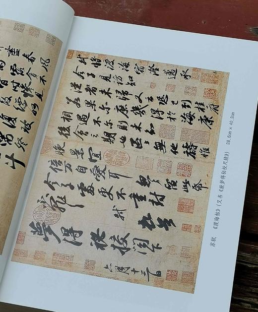 《苏轼与书画文献集》，李福顺编著，536页，荣宝斋出版社2008年一版一印，定价48，售价24元。
  商品图5