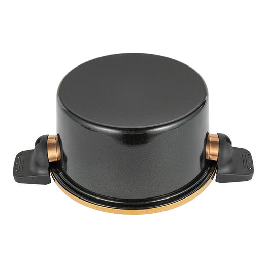 嘉尼特 (温显微压锅) DEP-859 4.2L 德铂 商品图5