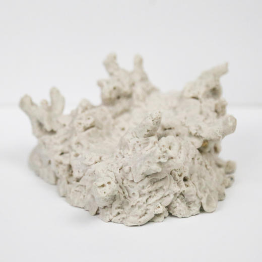 砗磲贝壳基座 商品图3