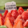草莓抹茶大满足，可选1.5/2.5 /3.5 /6磅 商品缩略图2