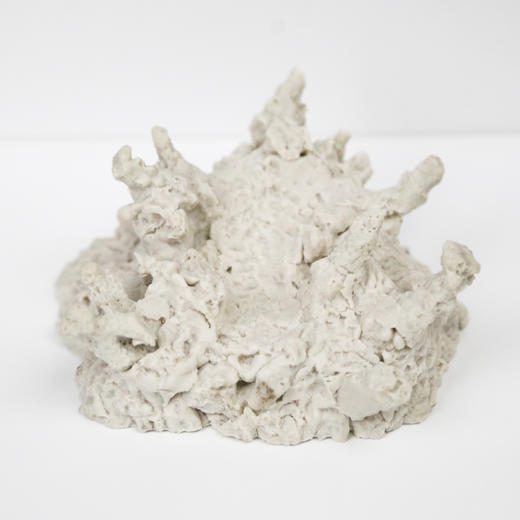 砗磲贝壳基座 商品图2