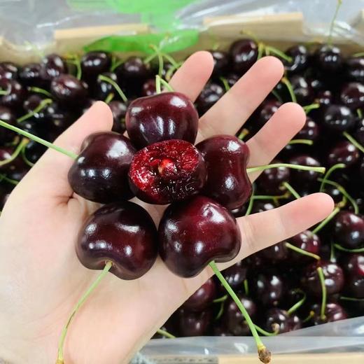 【满150元全疆包邮】智利车厘子（1kg3J/2.5kg单J/3J） 商品图3