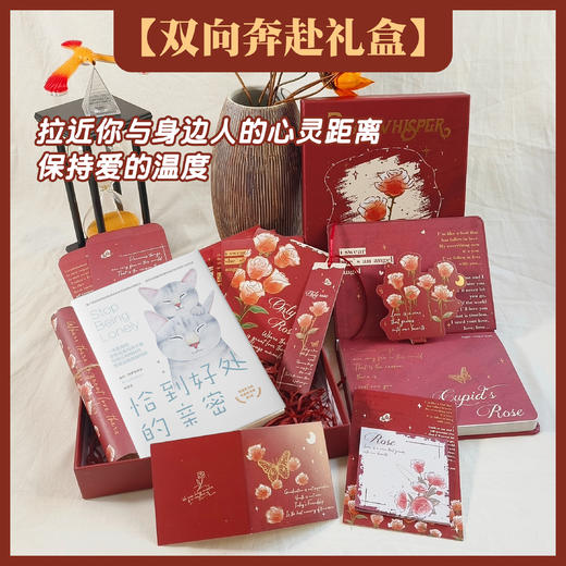 臻爱花园礼盒  用书写找到爱的内心花园 商品图9