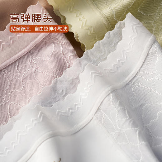 轻奢棉感锦纶提花女神裤—WL8116款 商品图4