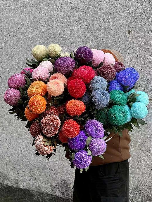 马来西亚牡丹菊鲜花各色多款选择5支 商品图0