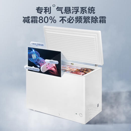 海尔（Haier）冰柜 BC/BD-300GHD 商品图10