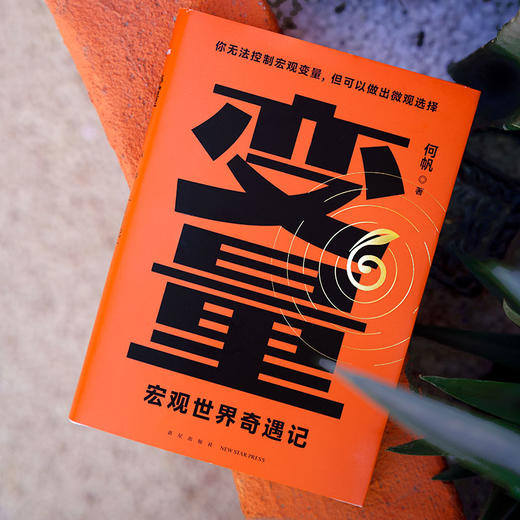 变量6：宏观世界奇遇记（著名经济学者何帆年度力作/翻开这本书，懂宏观、会行动） 商品图3
