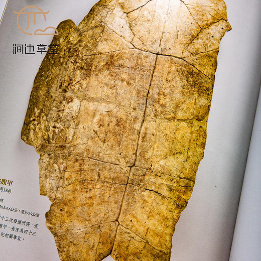 【绝版好书】殷墟出土器物選粹 商品图3