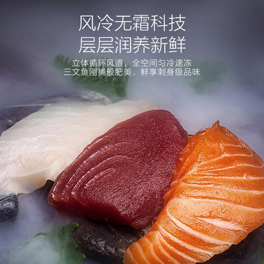 卡萨帝（Casarte）原石系列285升风冷家用立式冰柜 一级能效 冷柜冰箱冷藏冷冻柜BD-285WGCERU1 商品图4