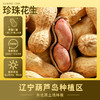【288g】山核桃味百里挑一旭东花生独立罐装带壳奶香味休闲坚果炒货零食 商品缩略图3