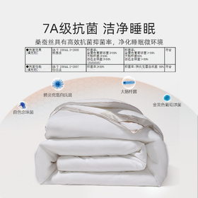 水星家纺金玉芳菲 桑蚕丝子母二合一被