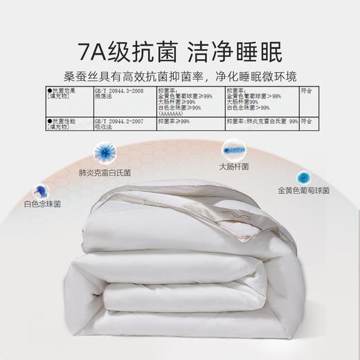 水星家纺金玉芳菲 桑蚕丝子母二合一被 商品图0