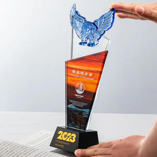 创意水晶奖杯定制雄鹰奖彩印定做年终奖公司单位颁奖纪念品刻字 · 雄鹰款 商品图2