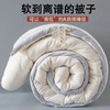 【YW】无忧购A类云柔原棉大豆纤维被春秋被加厚冬被（截单3-5天发货) 商品缩略图0