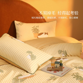 家纺磨毛四件套加厚保暖床上用品秋冬天床单被套