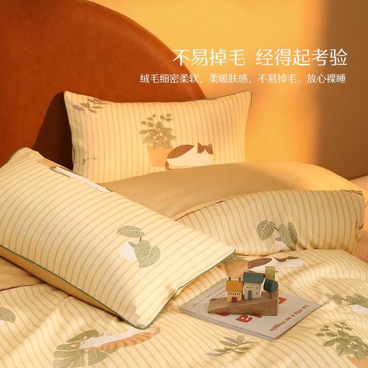 家纺磨毛四件套加厚保暖床上用品秋冬天床单被套 商品图0