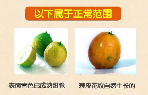 国家地理标识产品，融安金桔，金桔界天花板 来自广西融安核心产区 | 不酸麻、不苦涩 ，脆甜水嫩 只采摘甜度大于20度的精品大果 商品图9