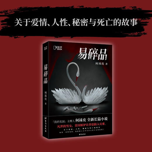 易碎品 何袜皮 著 小说 商品图2