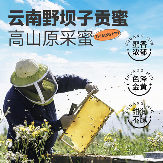 【2罐装】庄民 鲜参蜜片 50g/罐 2CM大片  长白山抚松高山参 云南野坝子贡蜜 商品图2