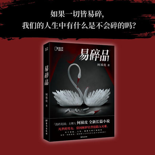 易碎品 何袜皮 著 小说 商品图1
