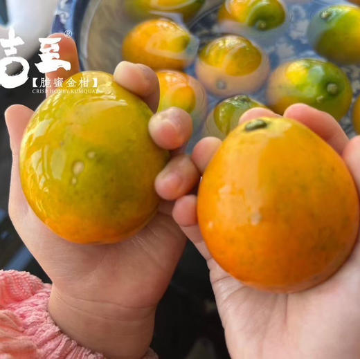 脆蜜金柑  霸王大果 商品图5