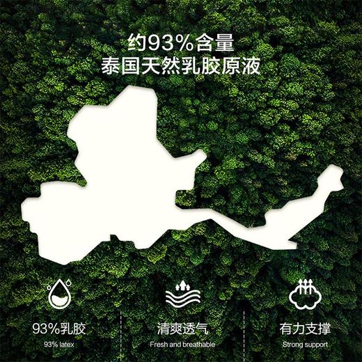 水星集团 乐岚天然乳胶枕抗菌防螨对枕 商品图1