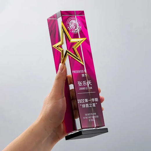 属五角星奖杯定制高档水晶刻字年度颁奖优秀员工荣誉纪念品 商品图4