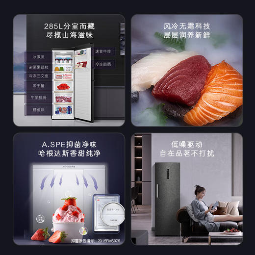 卡萨帝（Casarte）原石系列285升风冷家用立式冰柜 一级能效 冷柜冰箱冷藏冷冻柜BD-285WGCERU1 商品图2