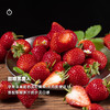  企鹅市集|四川大凉山黑美人 / 隋珠草莓 / 草莓盲盒 香气饱满 甜蜜新鲜 商品缩略图5