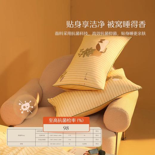 水星家纺 磨毛四件套加厚保暖床上用品秋冬天床单被套 商品图3