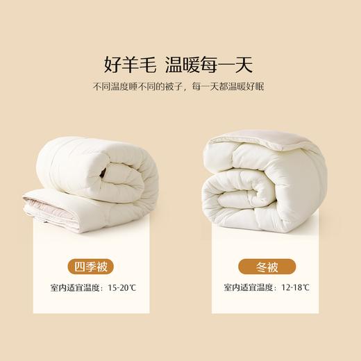 水星锦奢澳洲羊毛冬被 商品图4