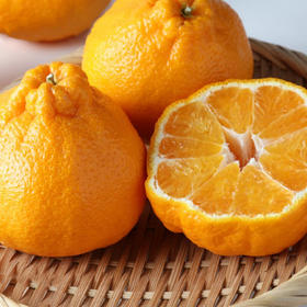 春见(4颗)	Harumi(4pcs) 960g/盒