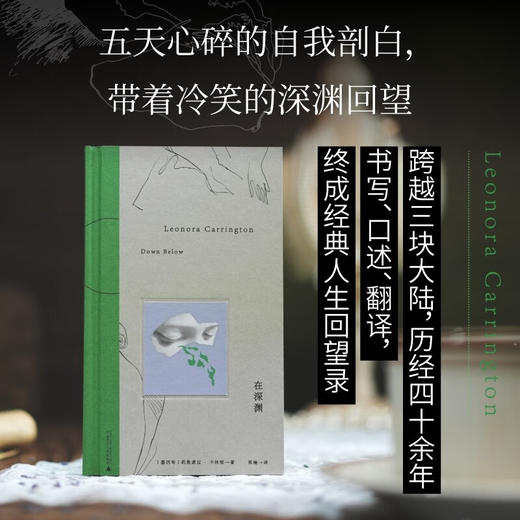 在深渊（莉奥诺拉·卡林顿回忆录） 商品图1