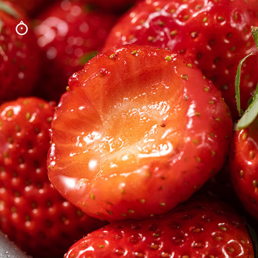  企鹅市集|四川大凉山黑美人 / 隋珠草莓 / 草莓盲盒 香气饱满 甜蜜新鲜 商品图1