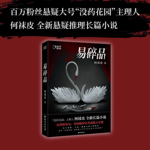 易碎品 何袜皮 著 小说 商品图0