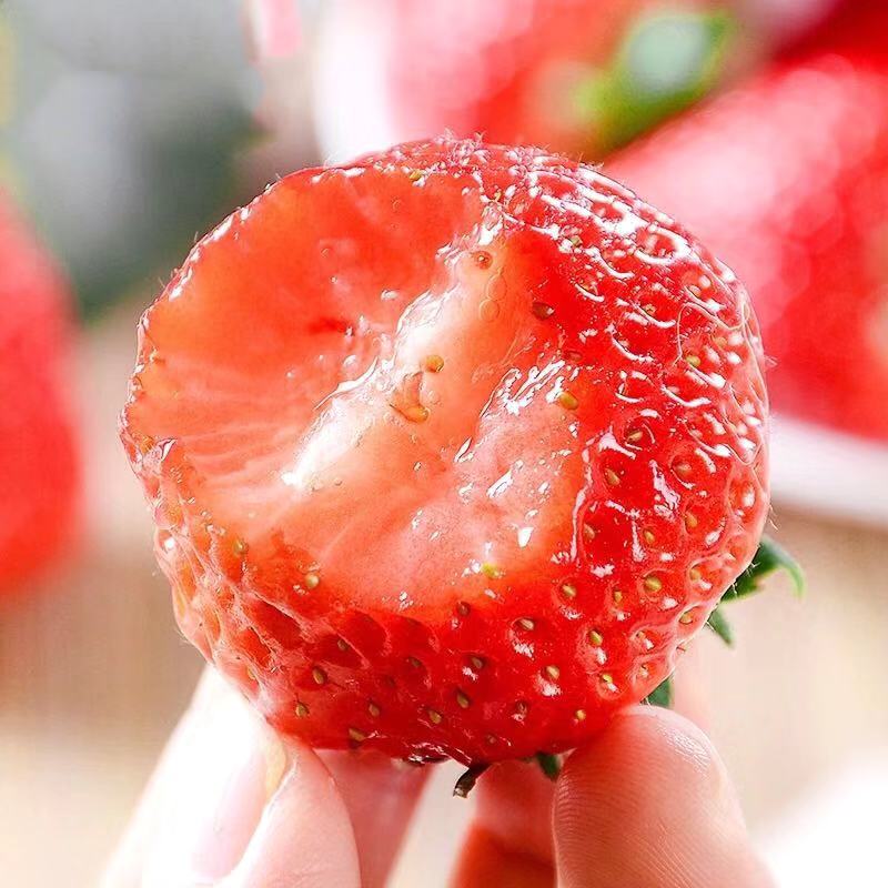 [最农公社]年货节|丹东久久草莓1斤2斤3斤大果特大果果王京东空运