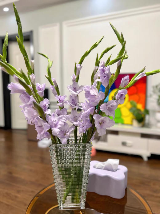 特价：ins风 北欧轻奢璀璨水晶玻璃花瓶15.9（尺寸：长10.5 cm、高18 cm，现货 下单即可到店自提） 商品图4