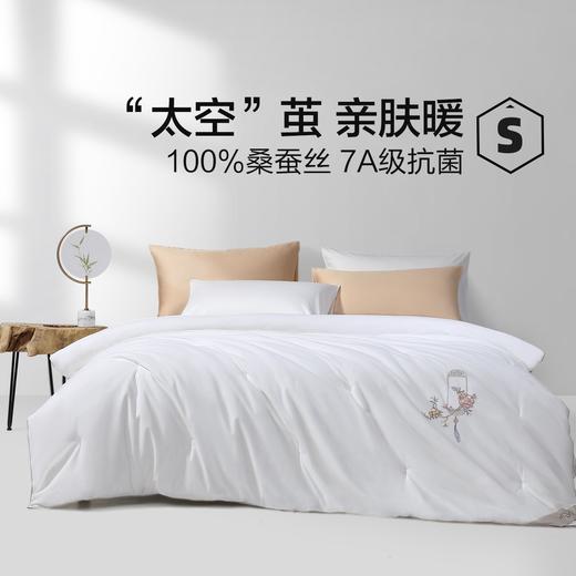 水星家纺金玉芳菲 桑蚕丝子母二合一被 商品图1